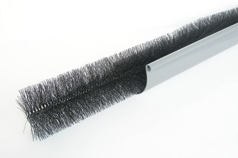 Rinnenraupe