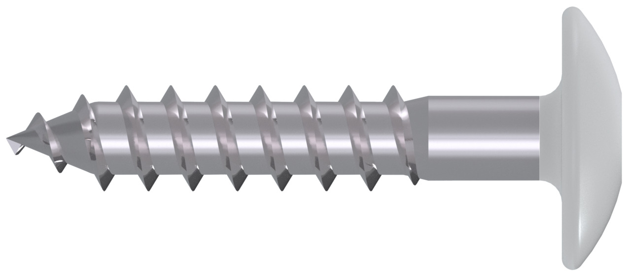 Fassadenplattenschraube