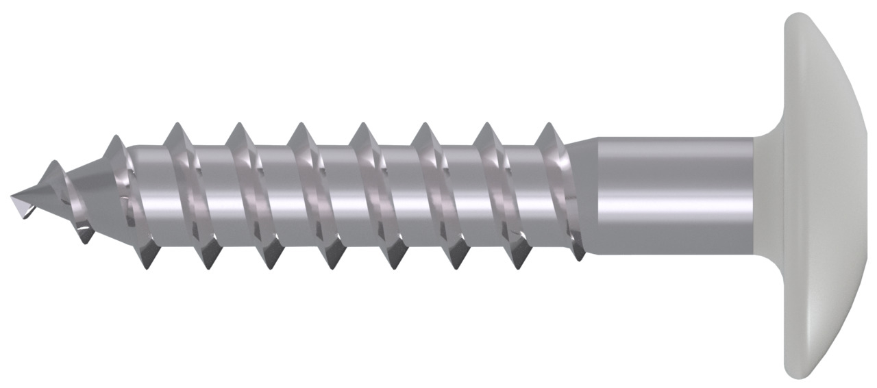 Fassadenplattenschraube