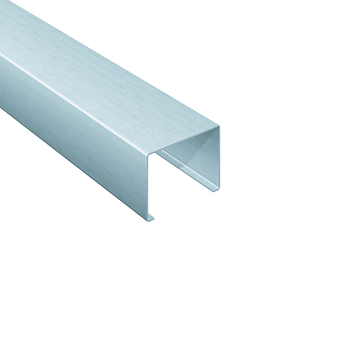 Vorprof. Leistenkappe