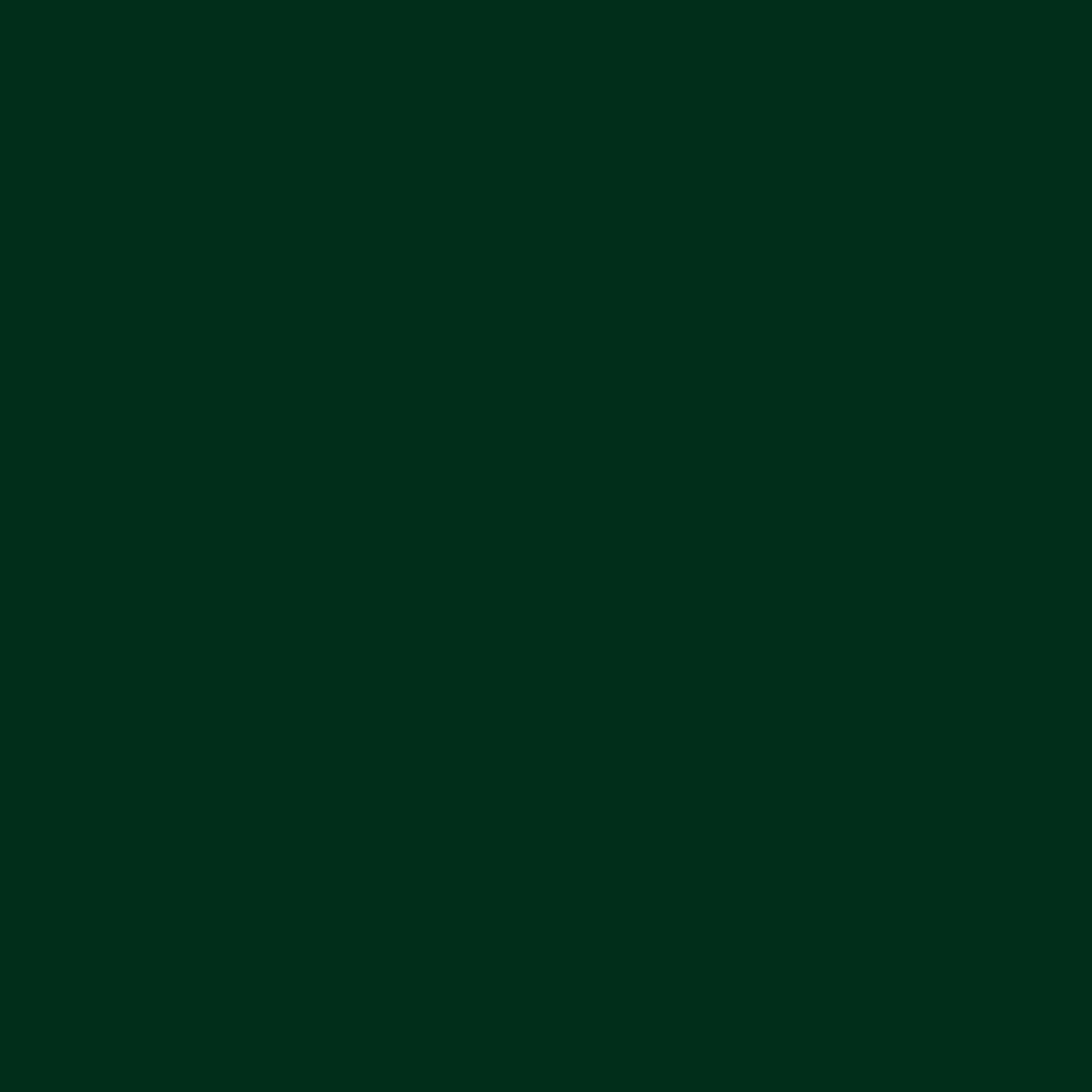Fassadenniet K14 Alu