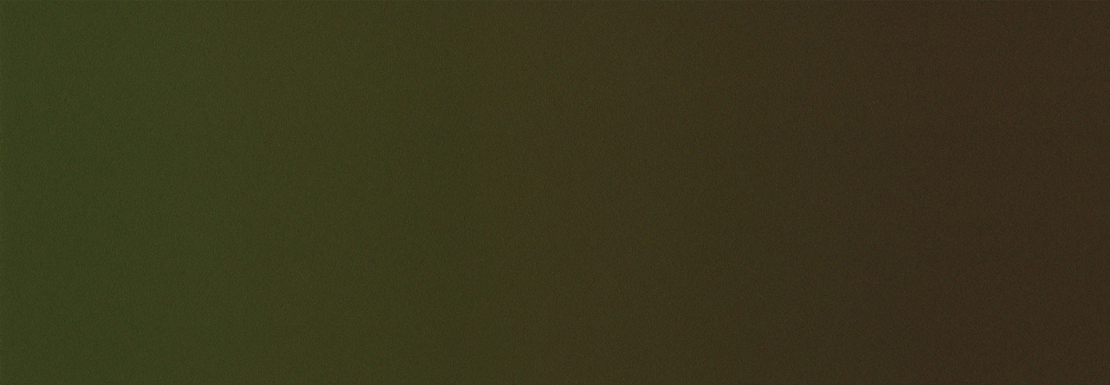 Fassadenschraube V4A Torx