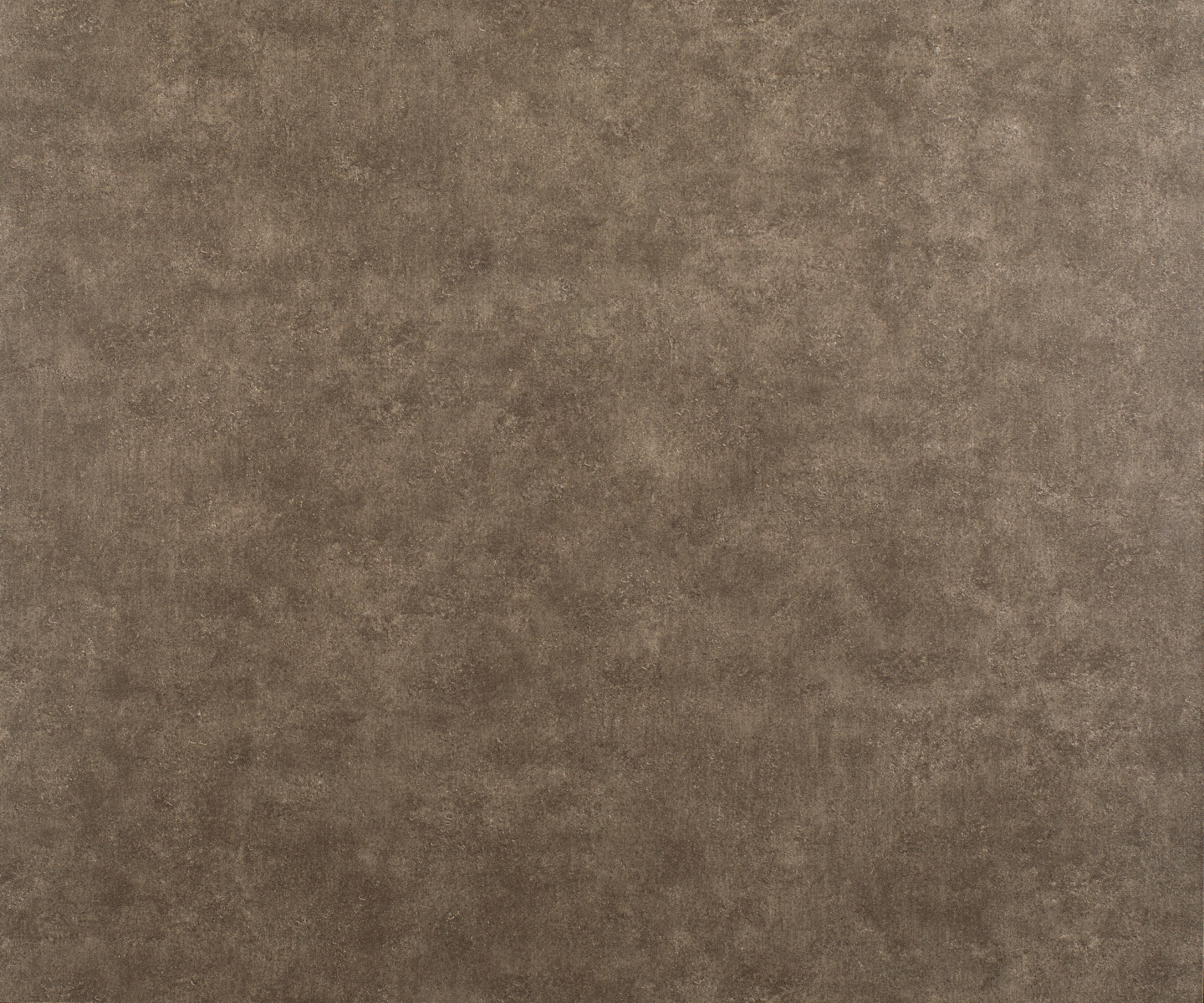 Fassadenschraube V4A Torx