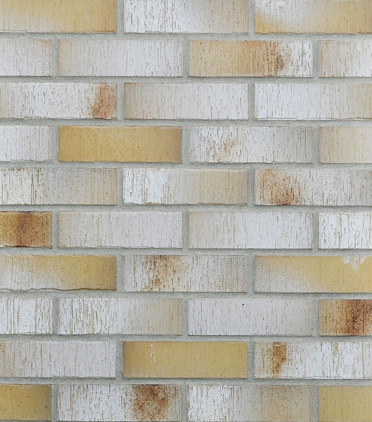 Winkelriemchen