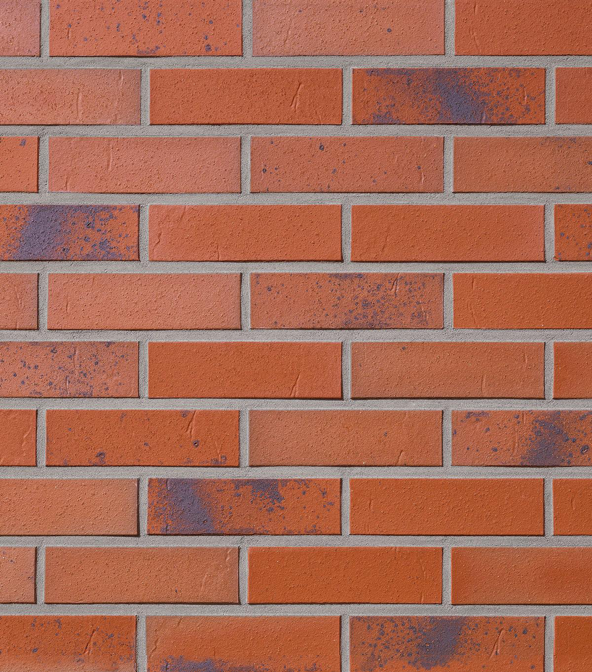 Winkelriemchen