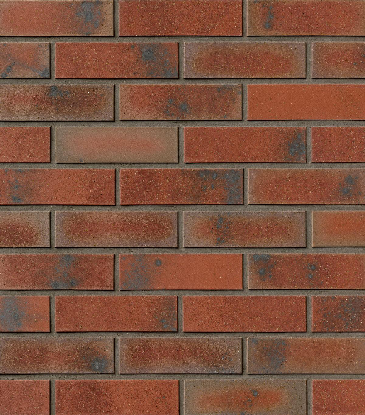 Winkelriemchen