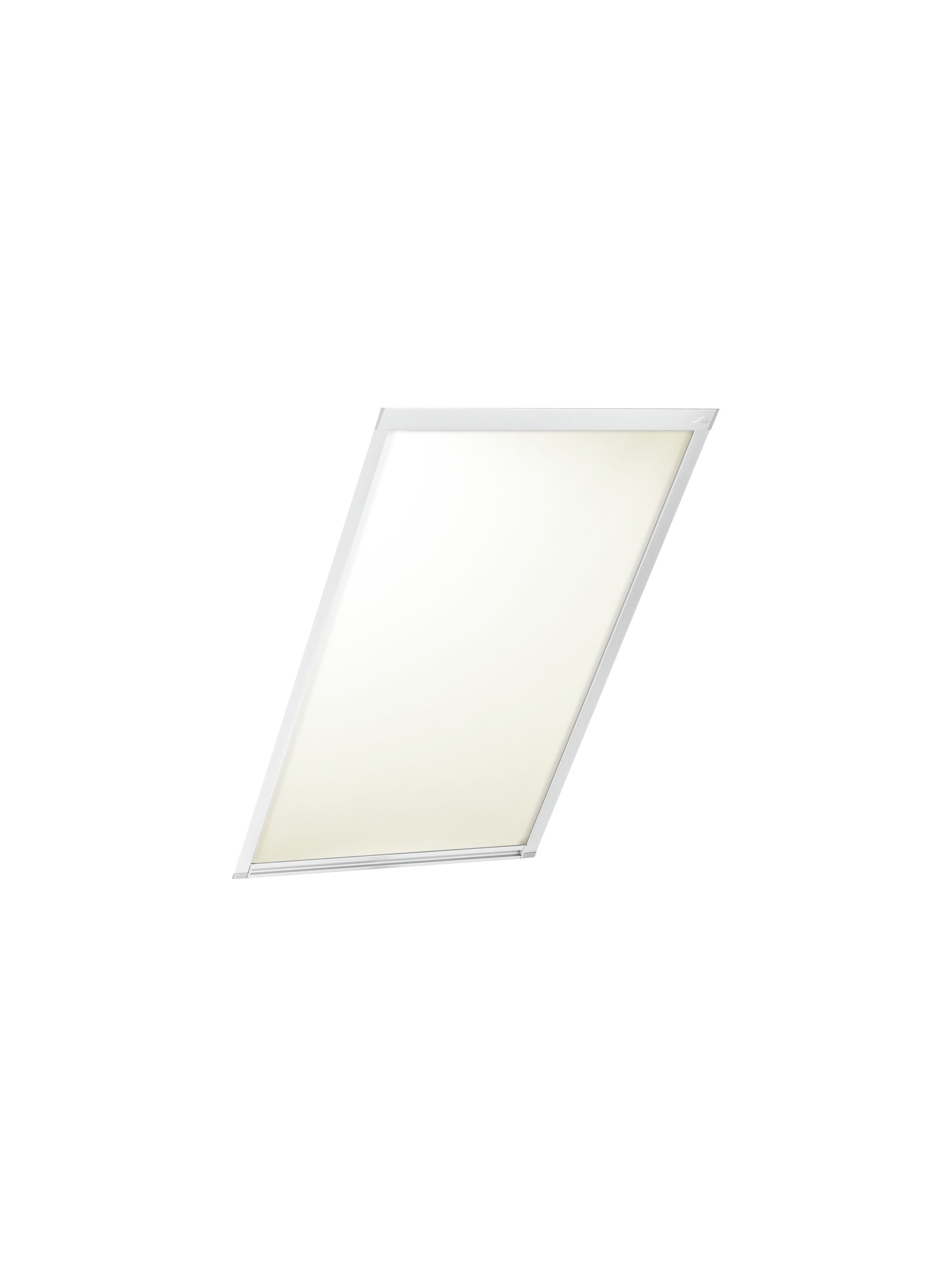 Rollo Exclusiv