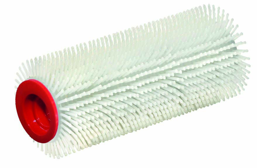 Stachelwalze