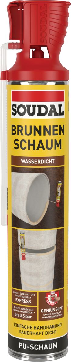 Brunnenschaum (GSV*)