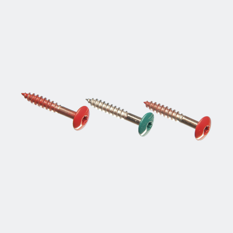 TRESPA® Fassadenschraube A4