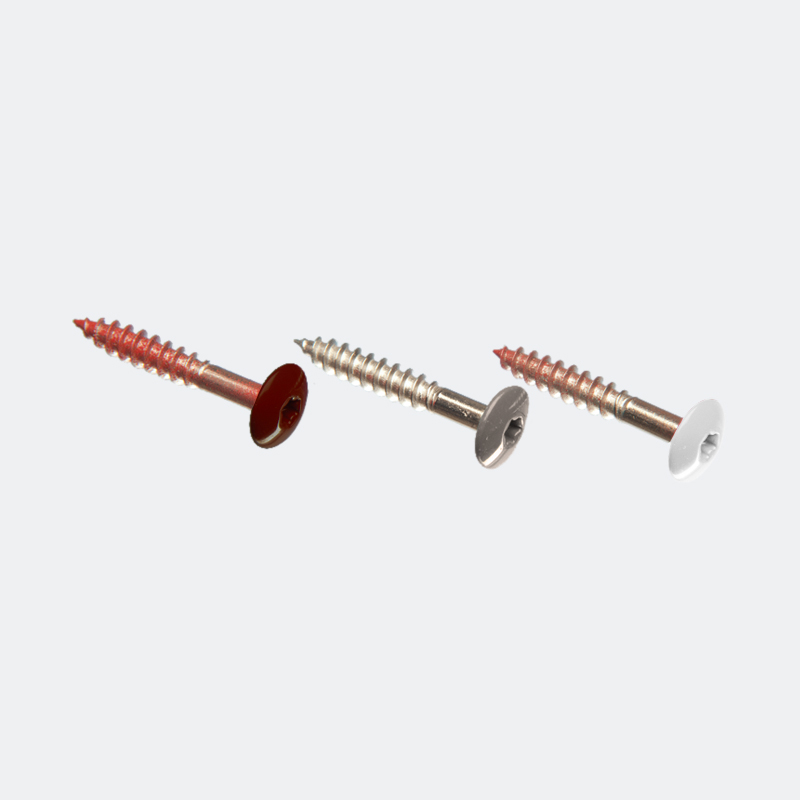 lyx® HPL Fassadenschraube K12 A2