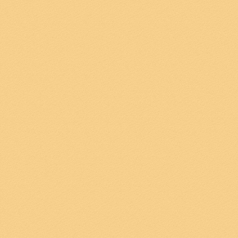 TRESPA® Meteon B1 eins. Uni Colours