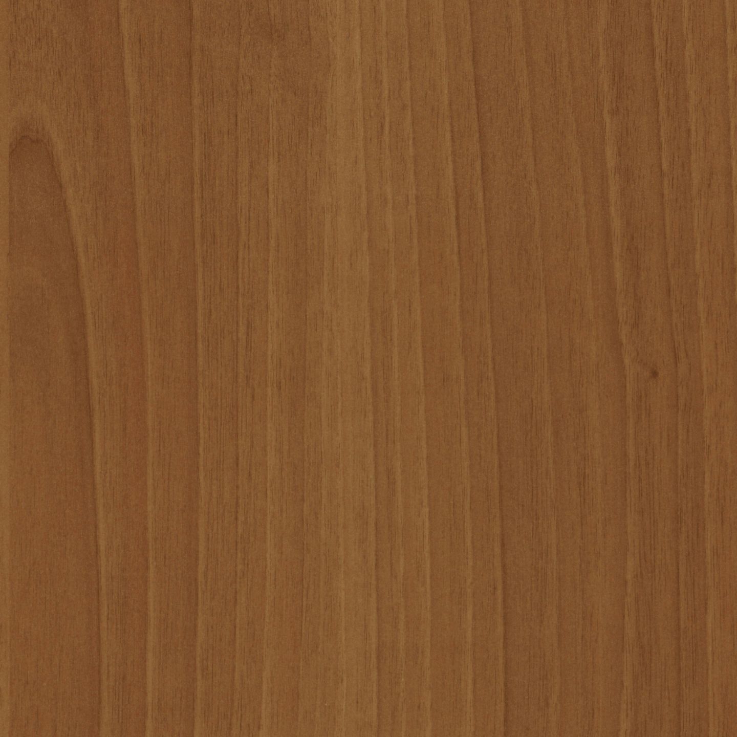 TRESPA® Meteon B2 eins. Wood Decors