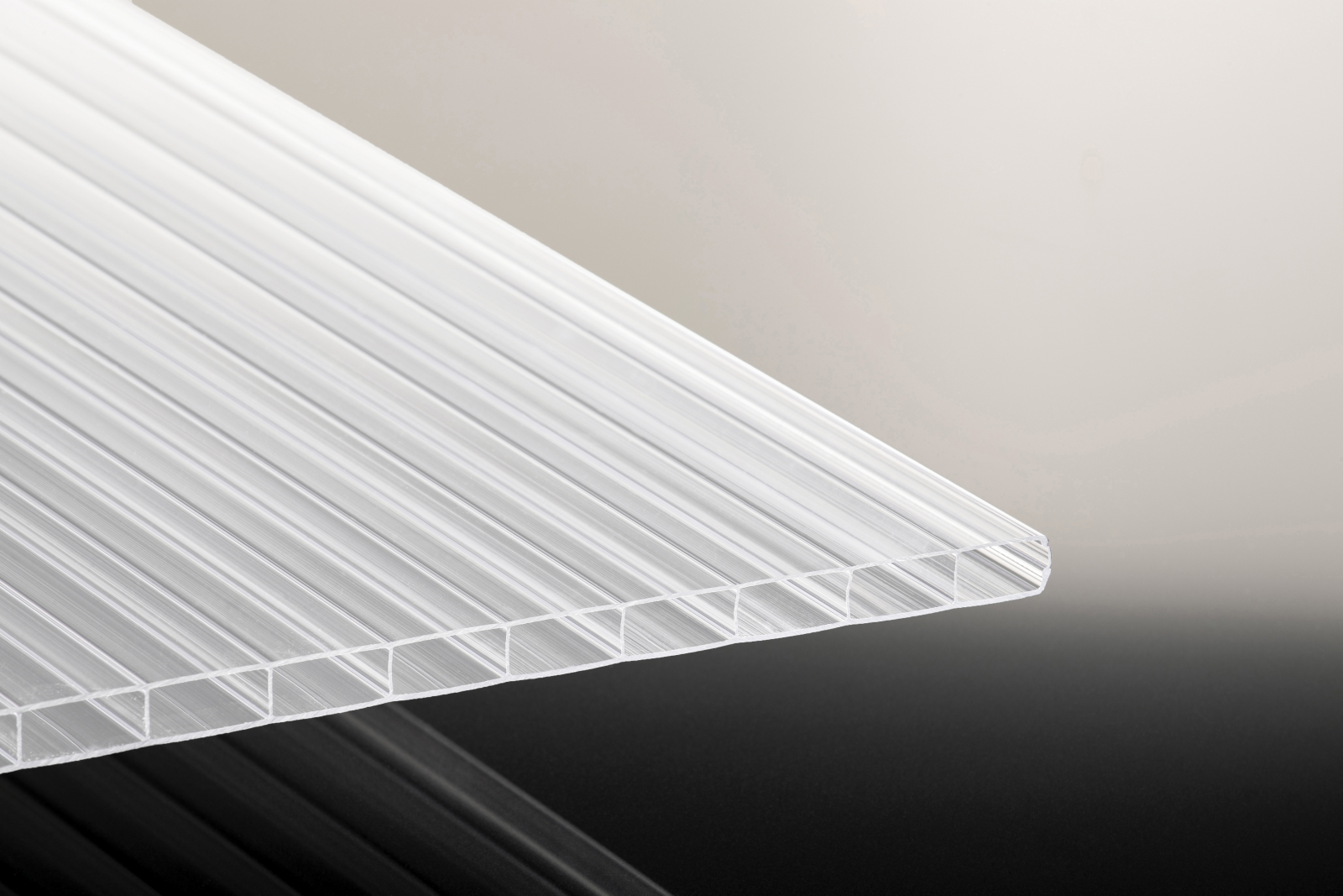 TEJEPOLY POLY BREITKAMMER SDP