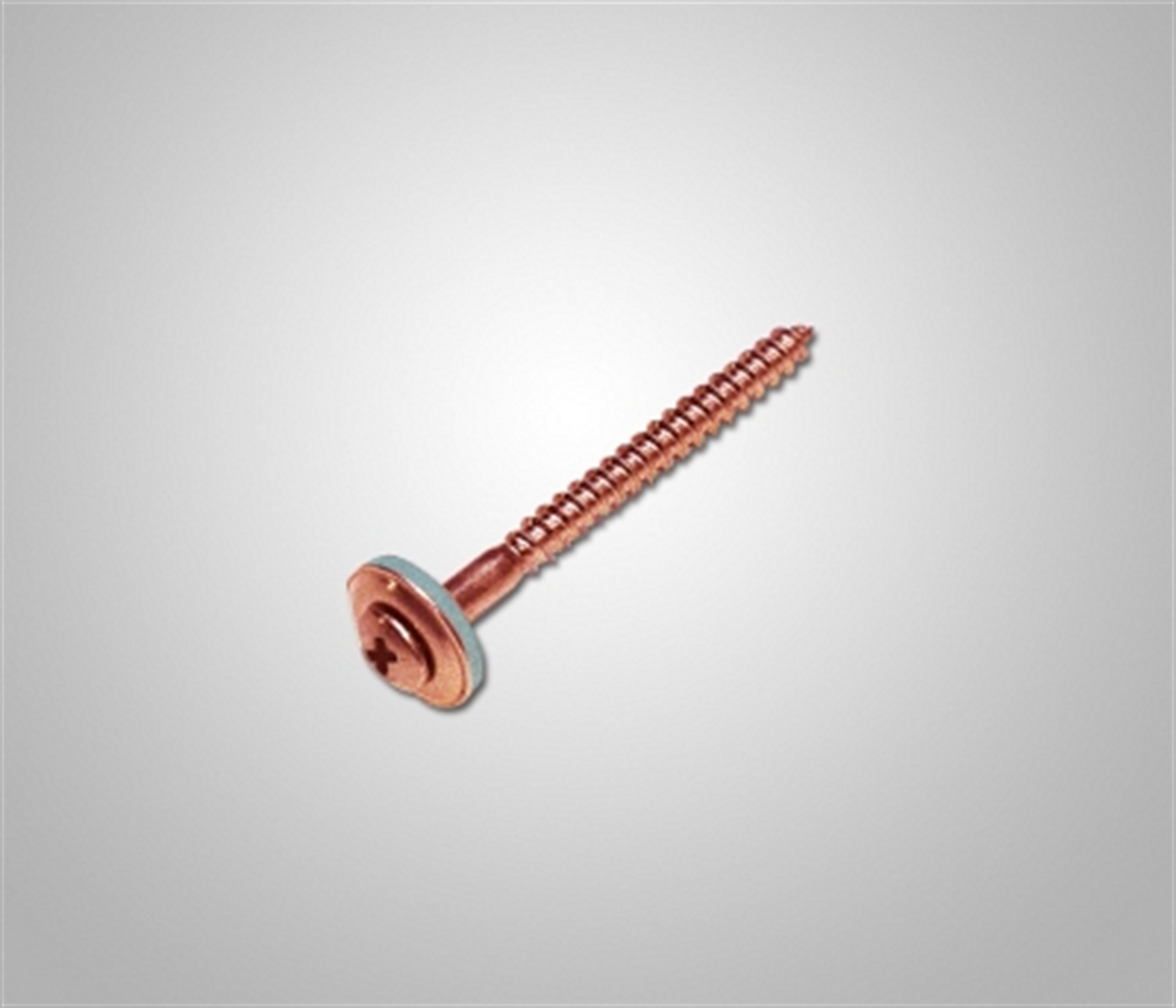 Spenglerschraube V2A Torx