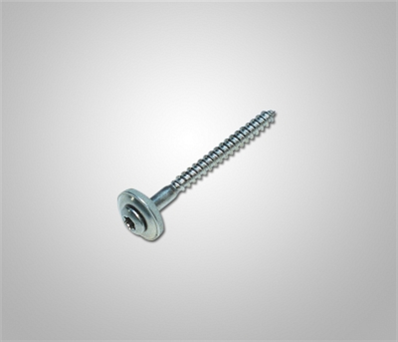 Spenglerschraube V2A Torx