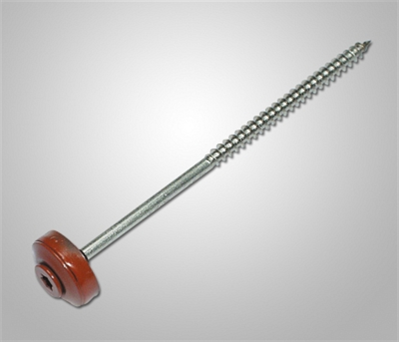 Glockenschraube Torx V2A