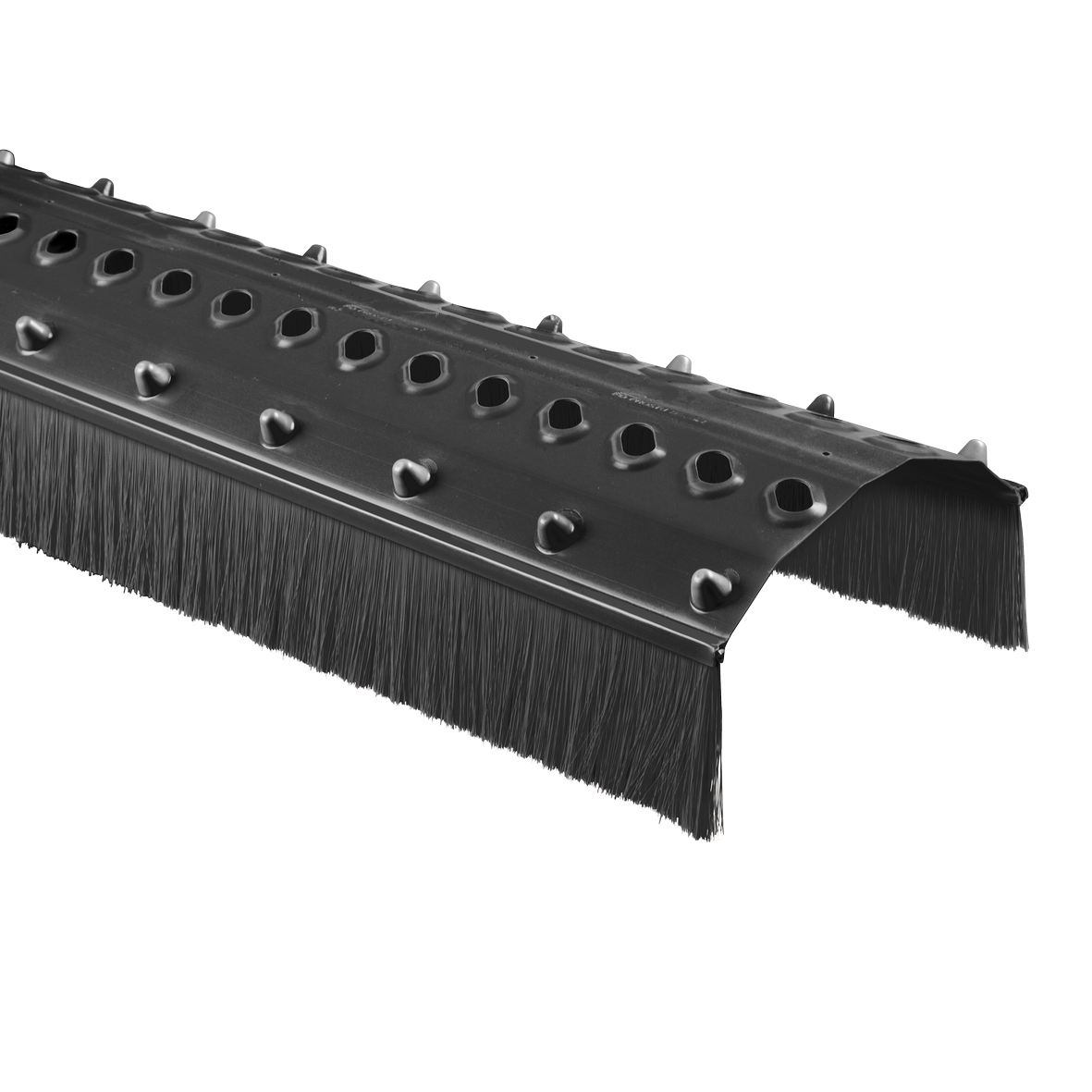 Firstlüftungselement mit Bürste