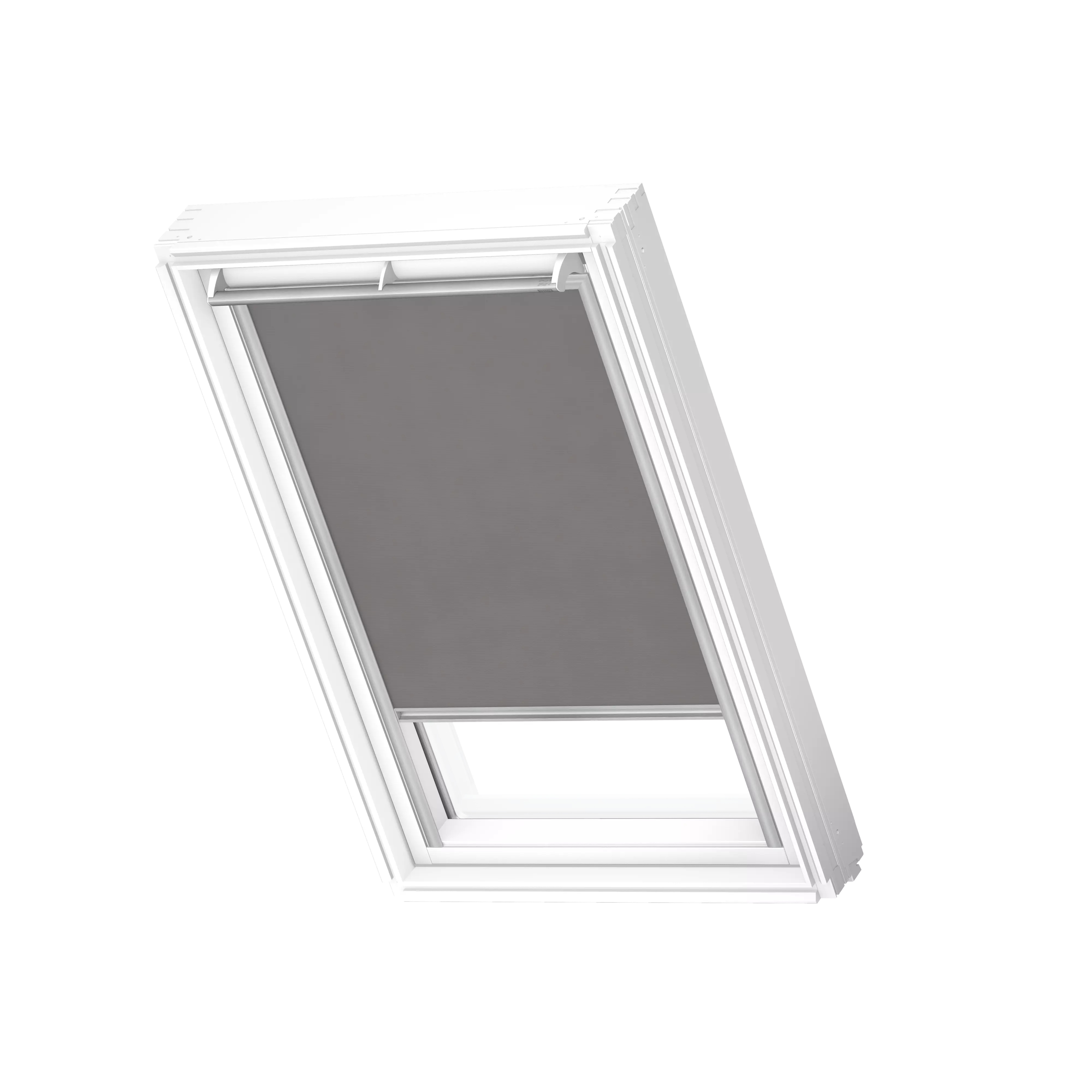 Rollo Sichtschutz