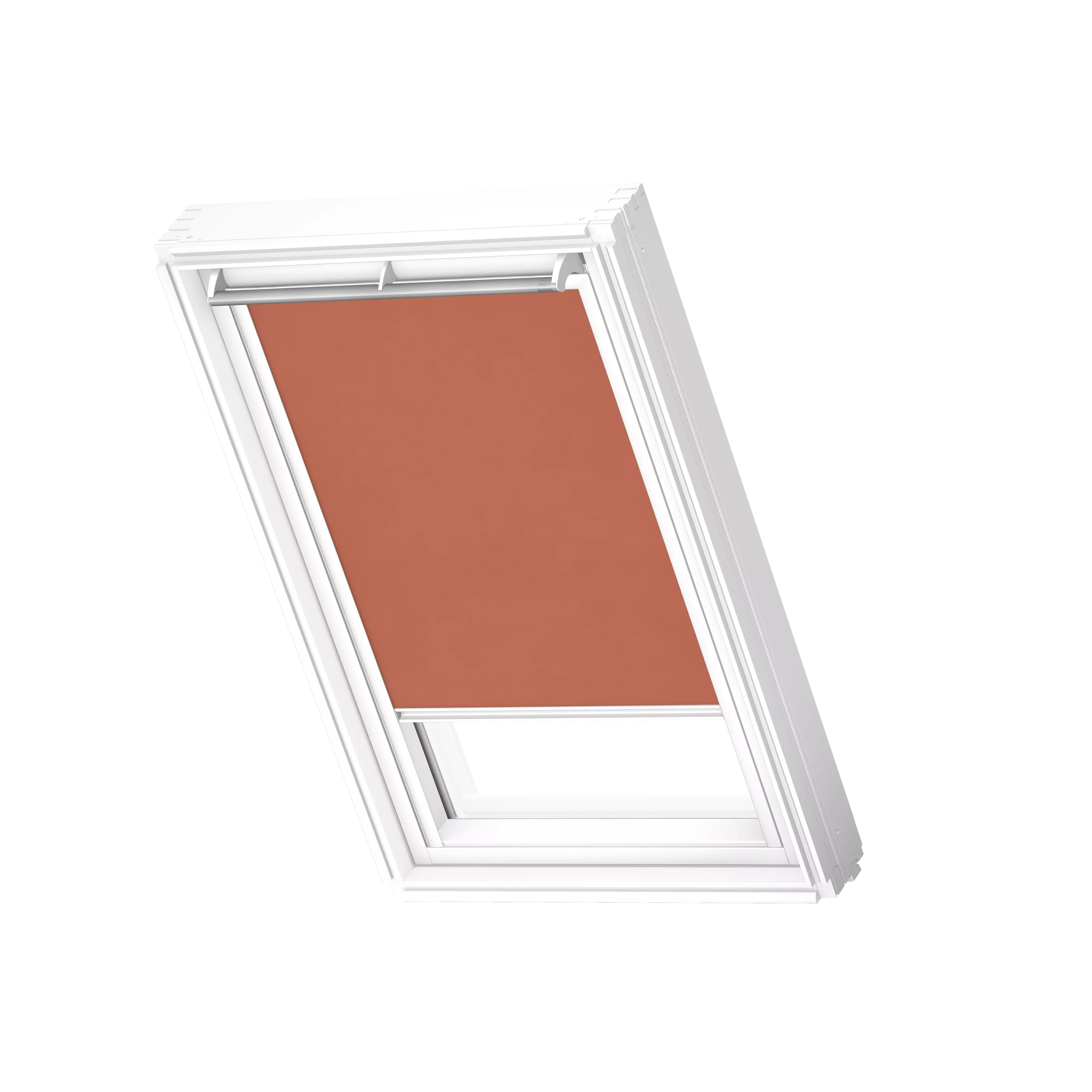 Rollo Sichtschutz