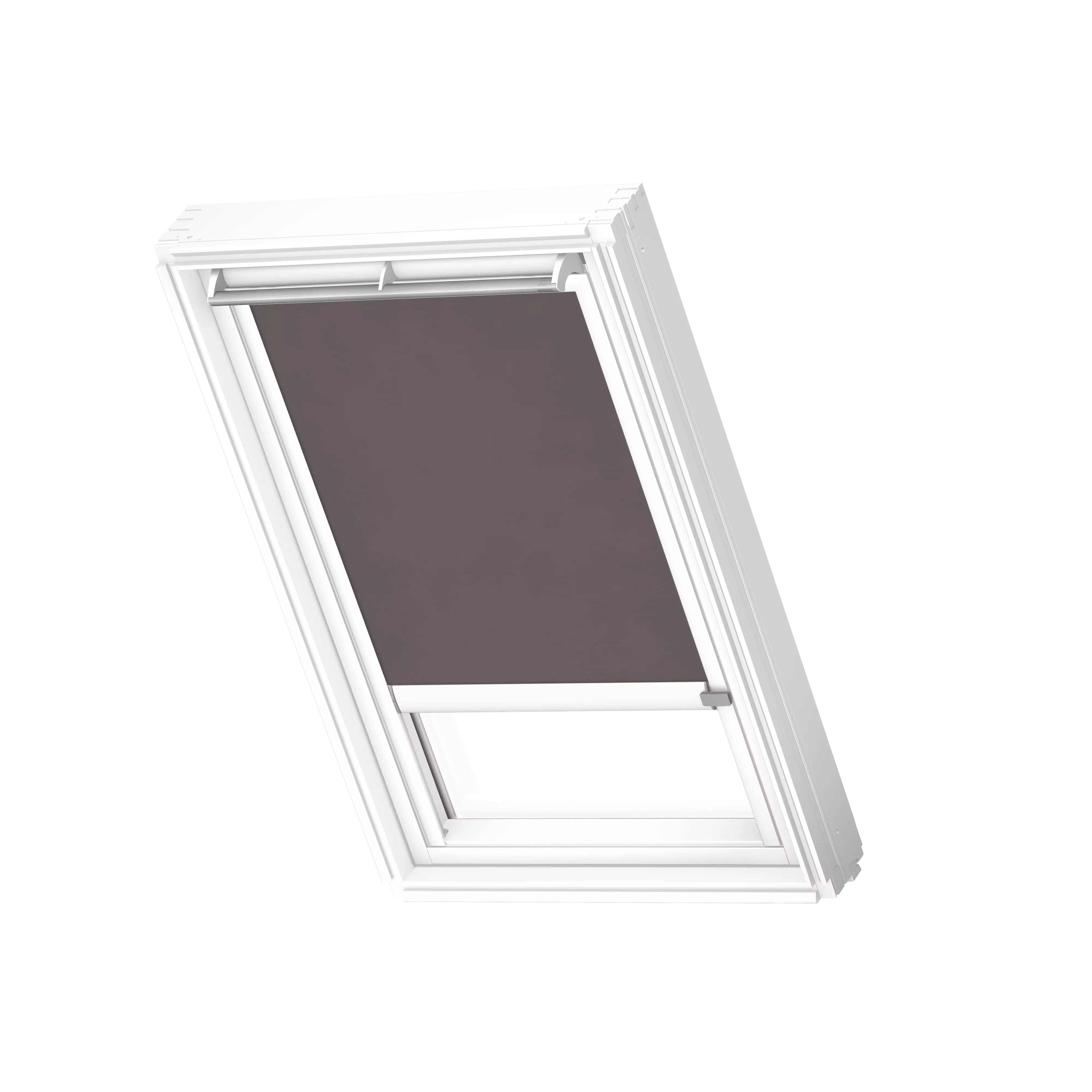 Rollo Sichtschutz