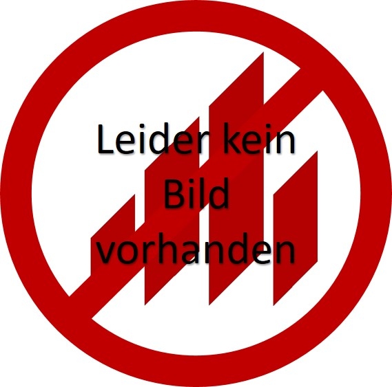 1/1 Ziegel